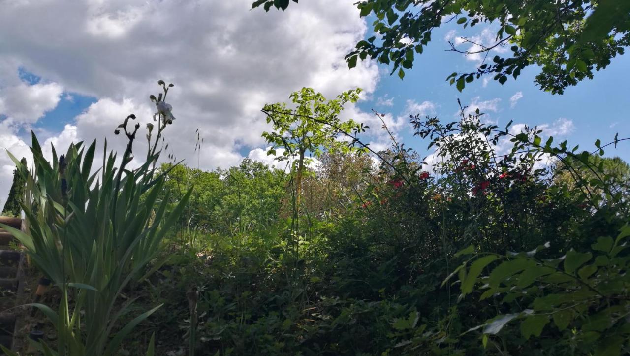 La Merla Perugia Bagian luar foto