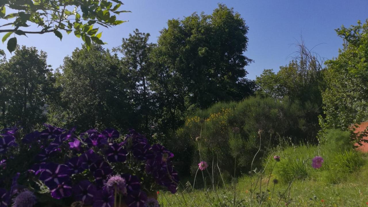 La Merla Perugia Bagian luar foto