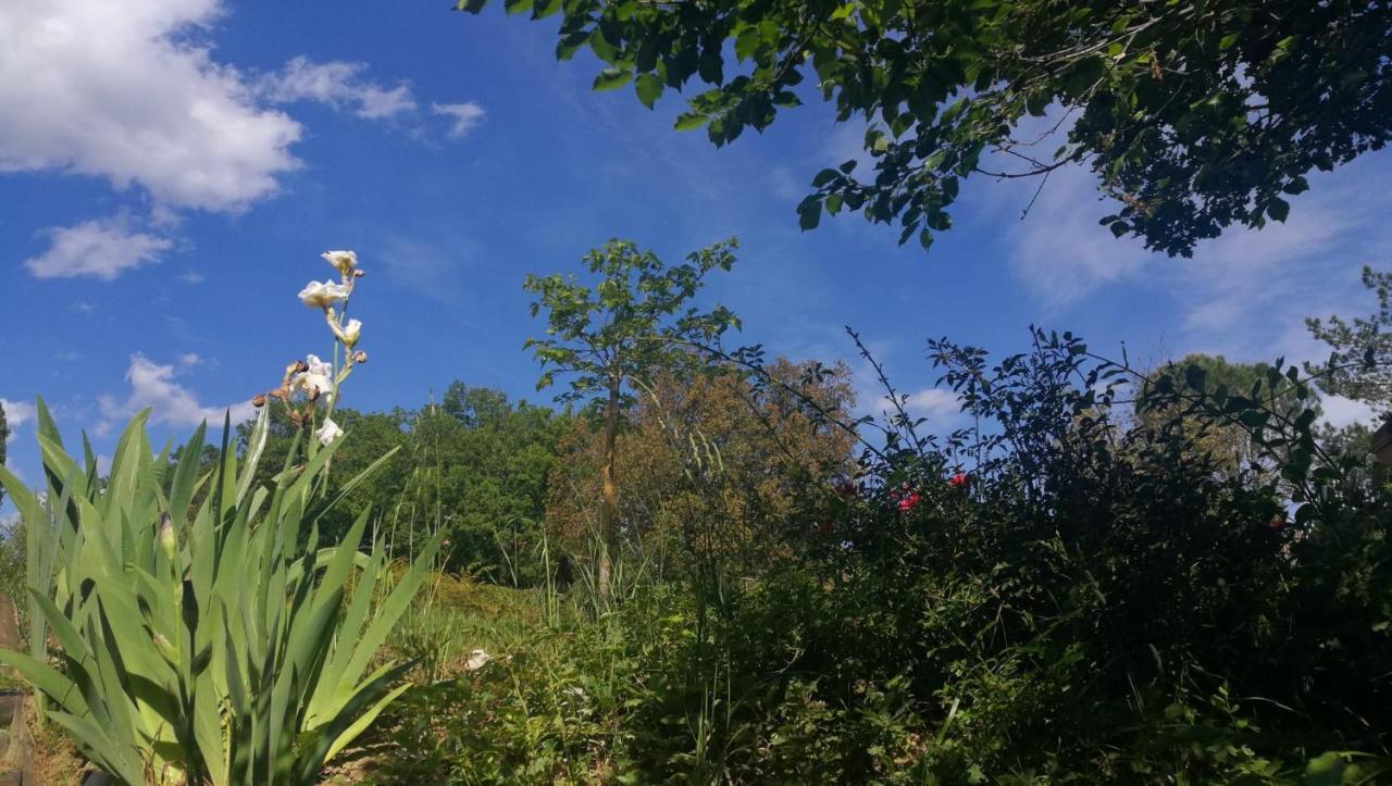La Merla Perugia Bagian luar foto
